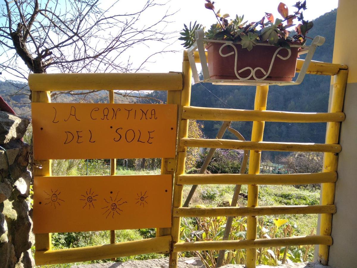 La Cantina Del Sole Riccò del Golfo di Spezia Eksteriør billede