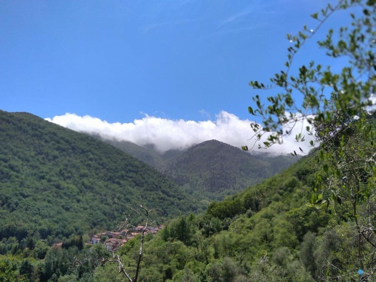 La Cantina Del Sole Riccò del Golfo di Spezia Eksteriør billede