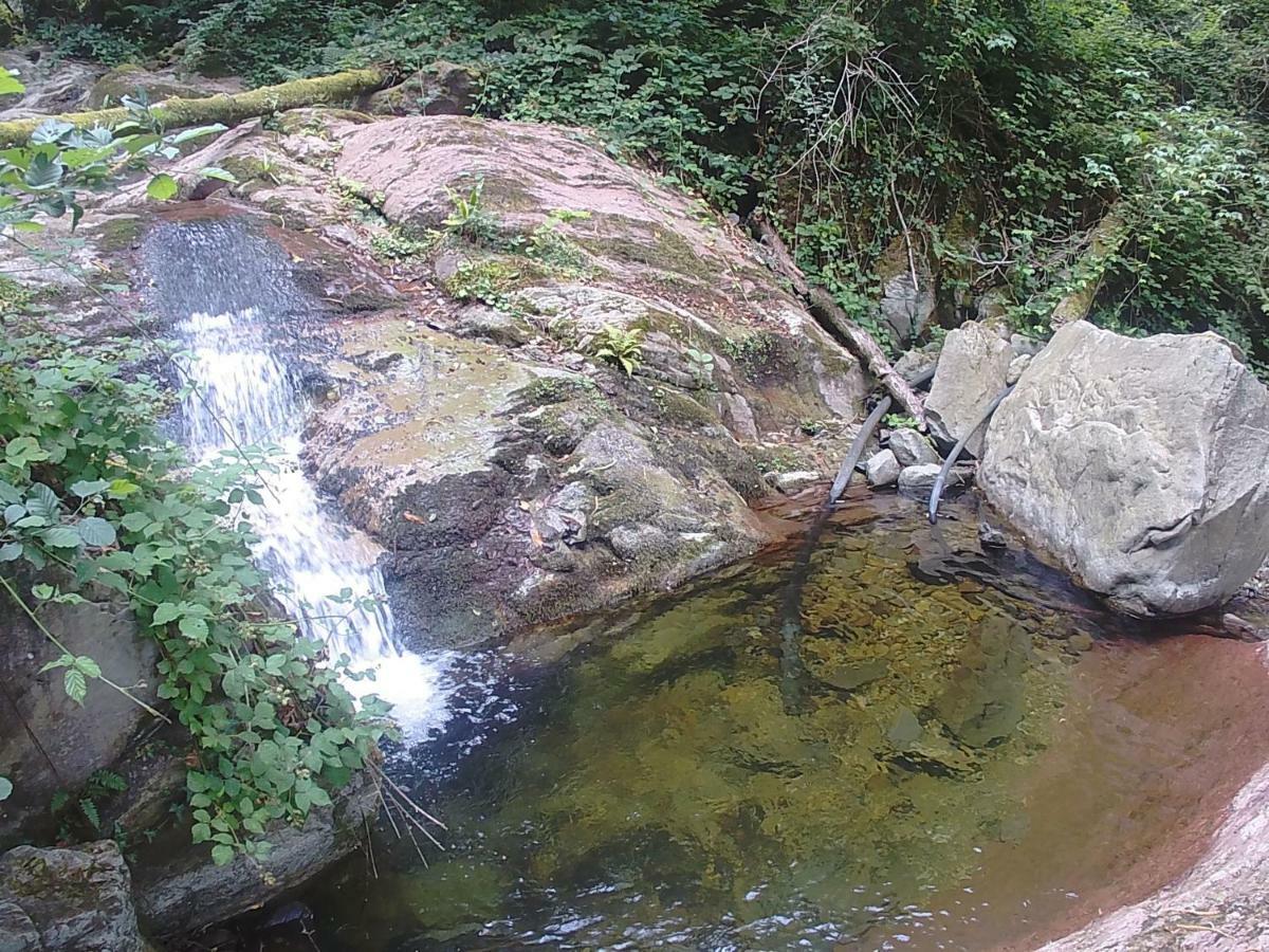 La Cantina Del Sole Riccò del Golfo di Spezia Eksteriør billede
