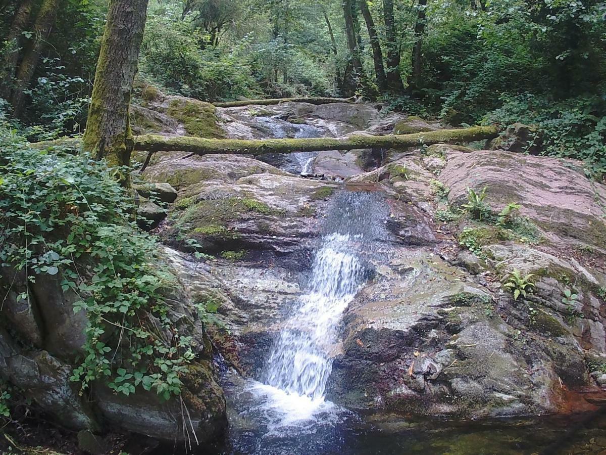 La Cantina Del Sole Riccò del Golfo di Spezia Eksteriør billede